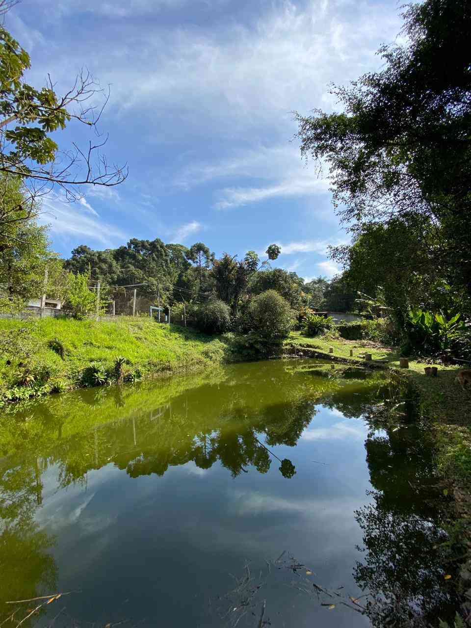 Foto Imóvel